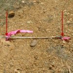 boundary line dispute